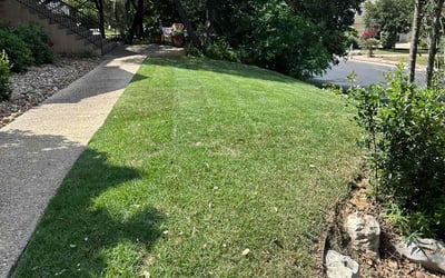 Photo of Mercedes B.'s yard after getting lawn care in Atascosa, TX
