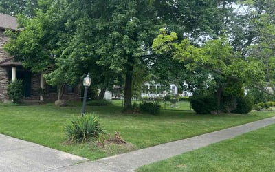 Photo of Amelia S.'s yard after getting lawn care in Painesville, OH
