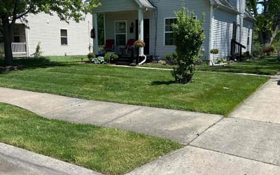 Photo of Damon L.'s yard after getting lawn care in Kalamazoo, MI