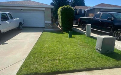 Photo of Jeff S.'s yard after getting lawn care in Yuba City, CA