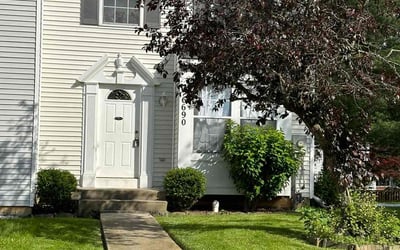 Photo of Alison K.'s yard after getting lawn care in Downers Grove, IL