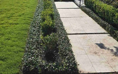 Photo of Ranabir D.'s yard after getting lawn care in Bellaire, TX