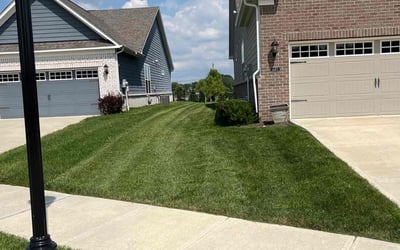 Photo of Martha E.'s yard after getting lawn care in Lebanon, IN
