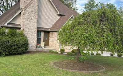 Photo of Lavanya Y.'s yard after getting lawn care in Bethpage, TN