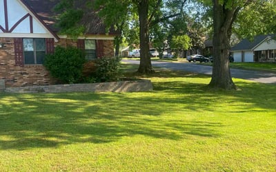 Photo of Tin M.'s yard after getting lawn care in Byhalia, MS