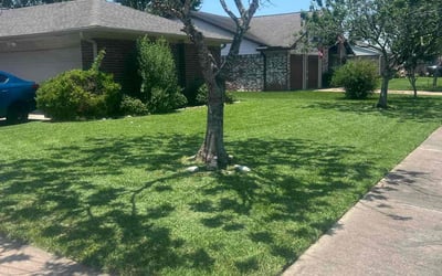 Photo of Darlene K.'s yard after getting lawn care in Brandon, MS