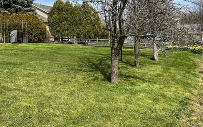 Photo of Catlin B.'s yard after getting lawn care in Gurnee, IL
