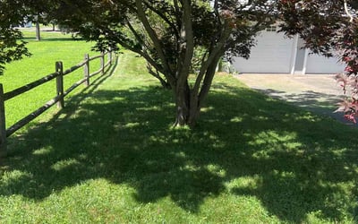 Photo of Brett M.'s yard after getting lawn care in Clover, SC