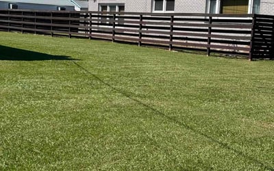 Photo of Jim N.'s yard after getting lawn care in Pearl River, LA