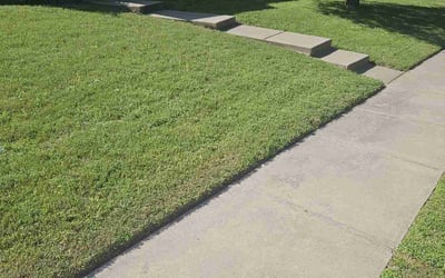 Photo of Simone M.'s yard after getting lawn care in Allen, TX