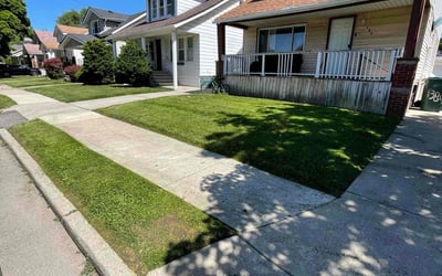 Photo of Karla S.'s yard after getting lawn care in Lincoln Park, MI