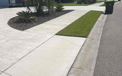 Photo of George R.'s yard after getting lawn care in Myrtle Beach, SC