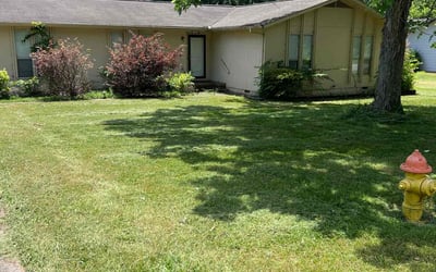 Photo of Christian F.'s yard after getting lawn care in Kingston, TN