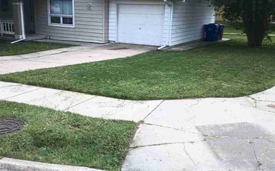 Photo of Joe B.'s yard after getting lawn care in Bellevue, NE