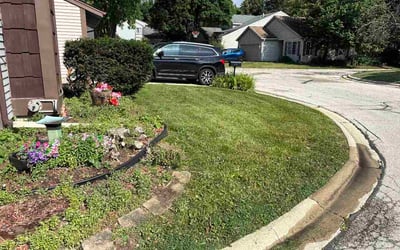 Photo of Khader M.'s yard after getting lawn care in Exton, PA