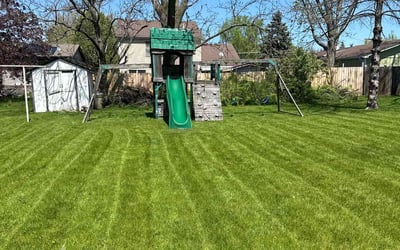 Photo of John B.'s yard after getting lawn care in Lake Forest, IL