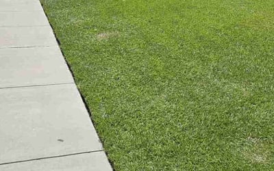 Photo of Joseph H.'s yard after getting lawn care in Chalmette, LA