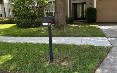 Photo of William K.'s yard after getting lawn care in Oviedo, FL