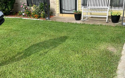 Photo of Katherine N.'s yard after getting lawn care in Valley Center, CA