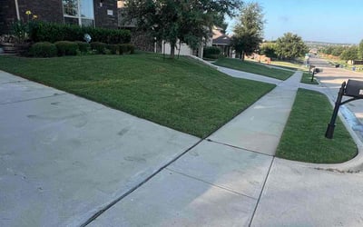 Photo of Amalia L.'s yard after getting lawn care in Burleson, TX