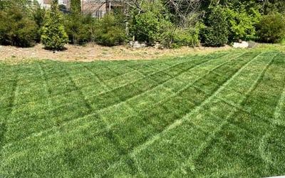 Photo of Kimberly P.'s yard after getting lawn care in Nolensville, TN