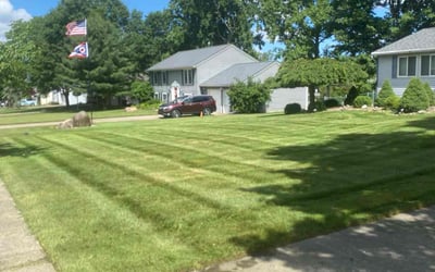 Photo of Kellie L.'s yard after getting lawn care in North Royalton, OH