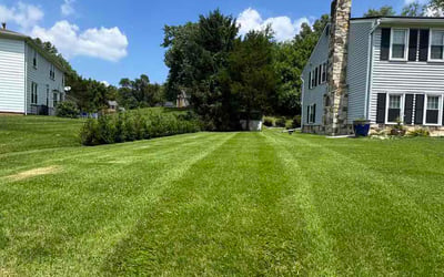 Photo of Cody H.'s yard after getting lawn care in Shepherdsville, KY
