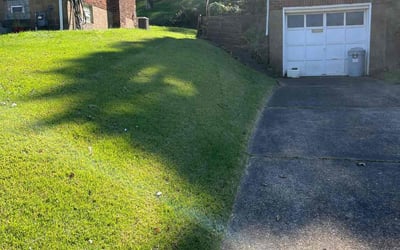 Photo of Clay F.'s yard after getting lawn care in Cheswick, PA