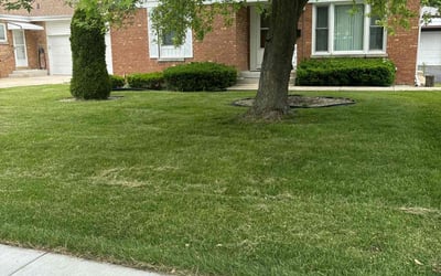 Photo of Daniel W.'s yard after getting lawn care in Niles, IL