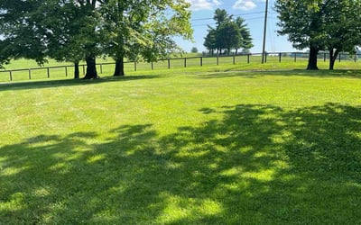 Photo of Miriam F.'s yard after getting lawn care in Paris, KY