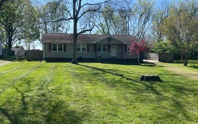 Photo of Sydney T.'s yard after getting lawn care in Gallatin, TN