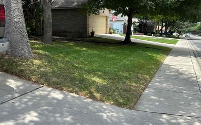 Photo of Cher W.'s yard after getting lawn care in Schertz, TX