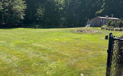 Photo of Virginia B.'s yard after getting lawn care in Mansfield Center, CT