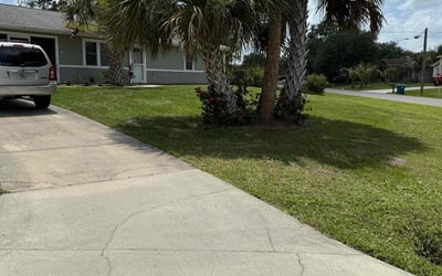 Photo of Dave D.'s yard after getting lawn care in Longmont, CO