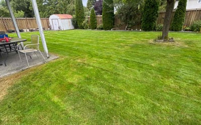Photo of Jai B.'s yard after getting lawn care in Monroe, WA