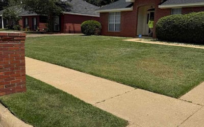 Photo of Anna N.'s yard after getting lawn care in Coventry, CT