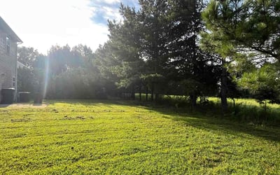 Photo of Mary M.'s yard after getting lawn care in Salisbury, NC