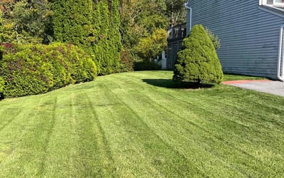 Photo of Miranda N.'s yard after getting lawn care in Torrington, CT