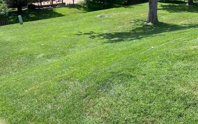 Photo of Jill H.'s yard after getting lawn care in Bedford, OH