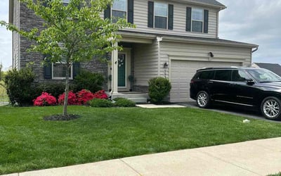 Photo of Sue S.'s yard after getting lawn care in Aspen Hill, MD