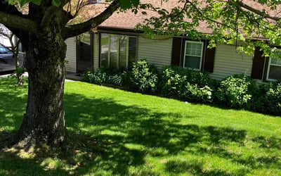 Photo of Ladell D.'s yard after getting lawn care in Worcester, MA