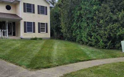Photo of Laverne M.'s yard after getting lawn care in Medina, OH