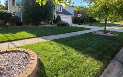 Photo of John L.'s yard after getting lawn care in Canton, MI