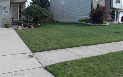 Photo of Ronald S.'s yard after getting lawn care in New Baltimore, MI