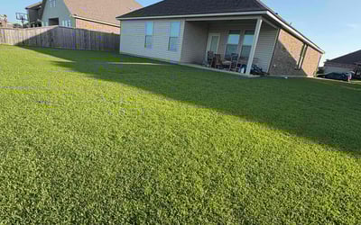 Photo of Elizabeth H.'s yard after getting lawn care in Slidell, LA