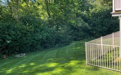 Photo of Sharla G.'s yard after getting lawn care in Ada, MI