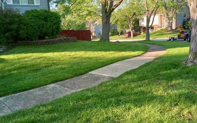 Photo of Tara M.'s yard after getting lawn care in Bolingbrook, IL