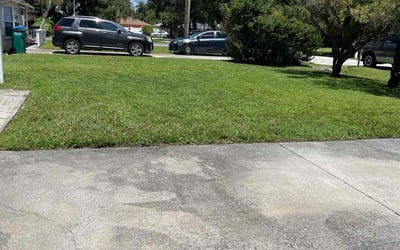 Photo of Laurie E.'s yard after getting lawn care in Largo, FL