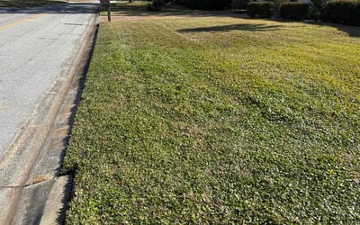 Photo of Souheil N.'s yard after getting lawn care in Austin, TX