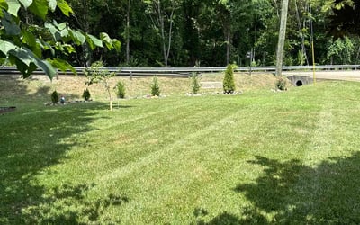 Photo of Angie S.'s yard after getting lawn care in La Vergne, TN